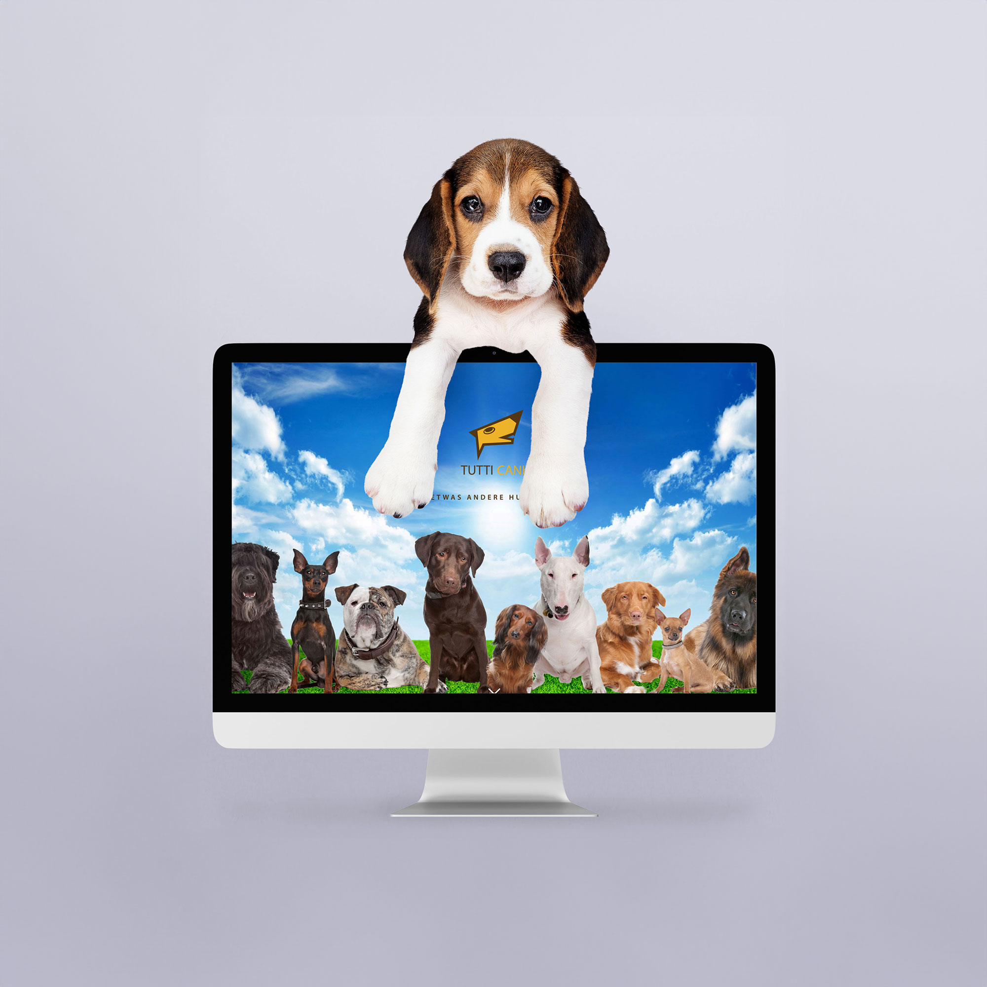 Portfolio-Referenz-Kunde-animiertes-animated-Logo-Web-Design-Tutti-Cani